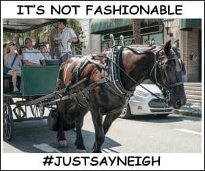 Picture of horse drawn carriage saying "it's not fashionable #justsayneigh"