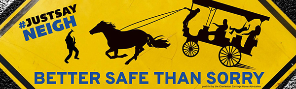 Banner that says "#justsayneigh better safe than sorry"