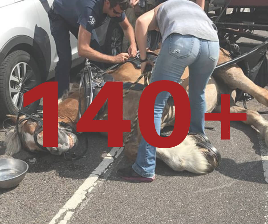 Horse fallen over on the street while people try to release it from the harness 140+ incidents