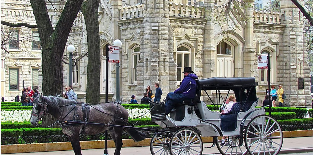 Horse drawn carriage in Chicago